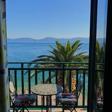 Iris * Gradac (Split-Dalmatia)